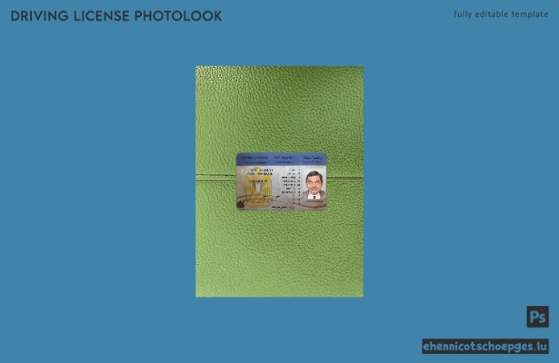 Beispielvorschau für das Foto des palästinensischen Führerscheins